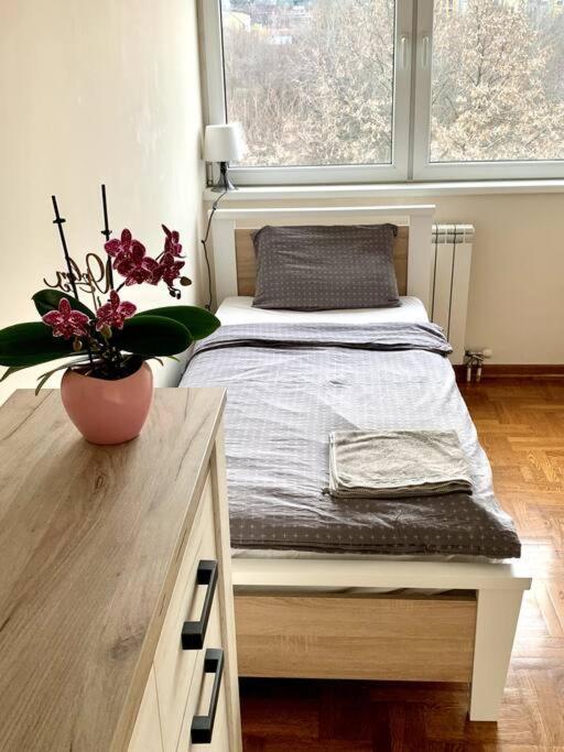 Sunkissed Apartment Βελιγράδι Εξωτερικό φωτογραφία